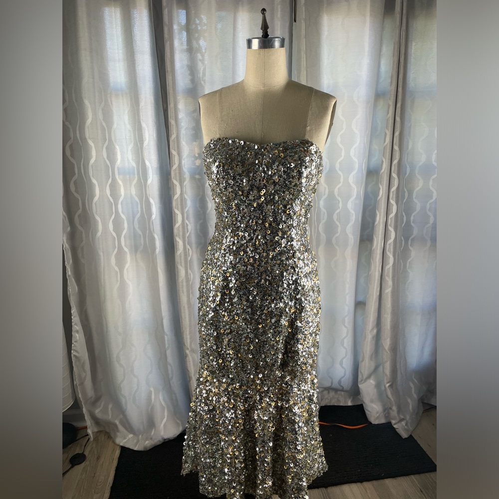 Silver Gown